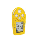 BW TECHNOLOGIES detector